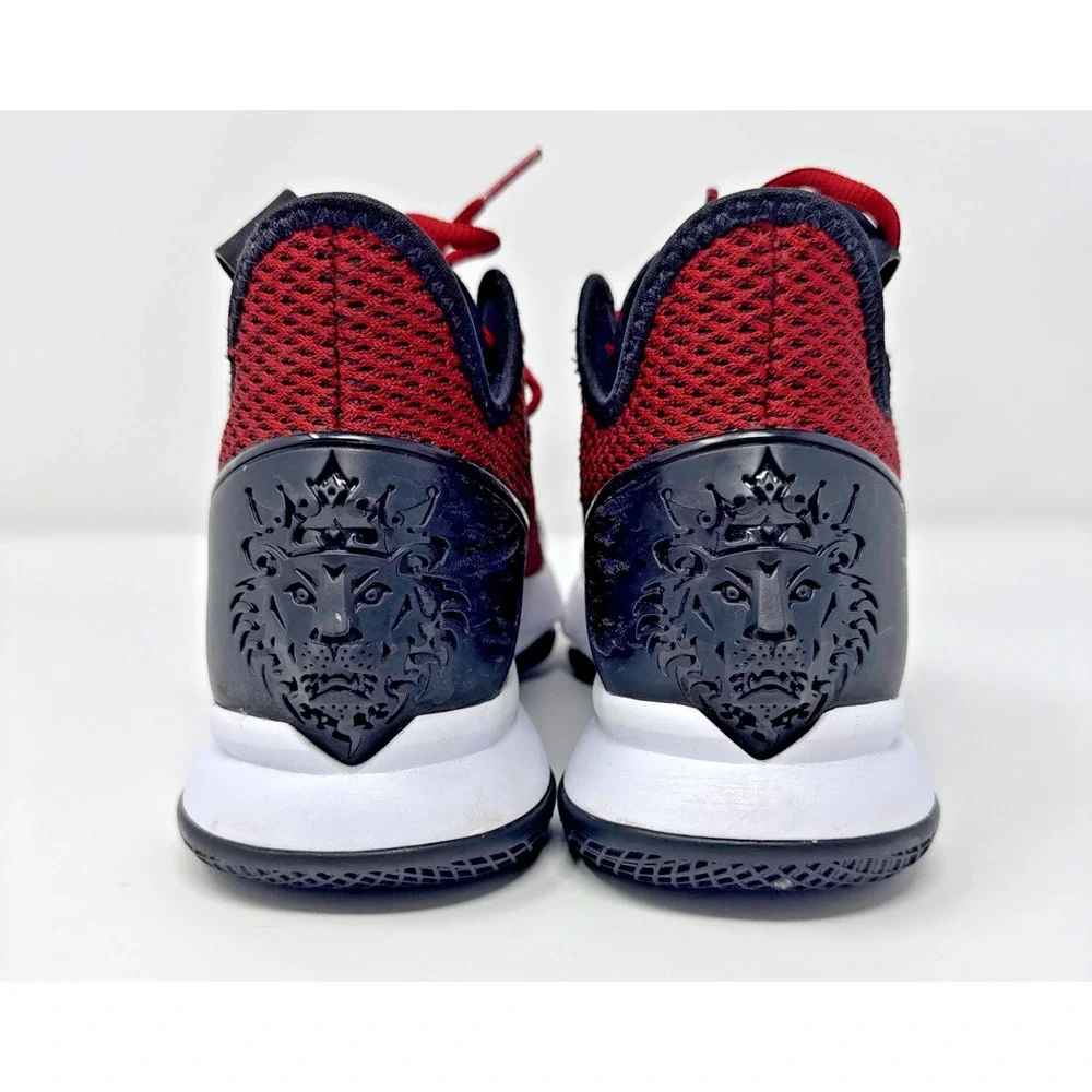 Nike Lebron Witness IV EP BV7427-002  Mens Sneaker Size US 7